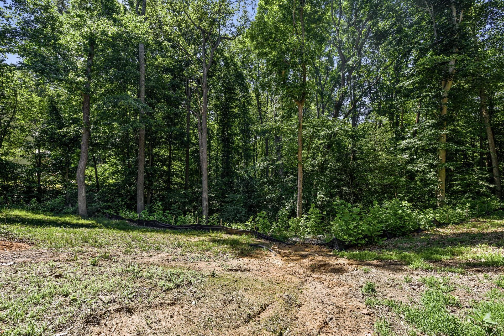12970 Meadow Way photo 13