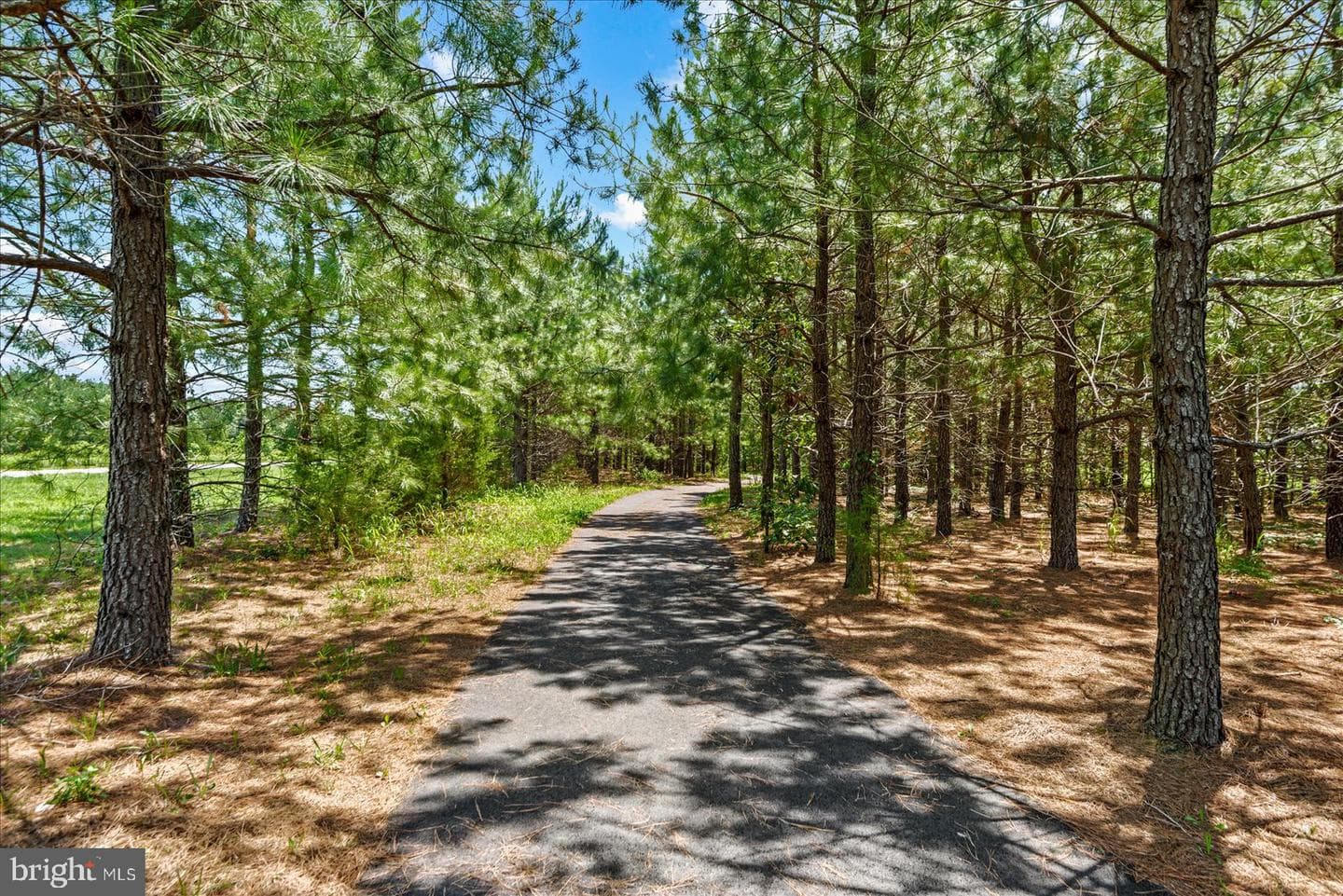 6325 Pointer Lane photo 42
