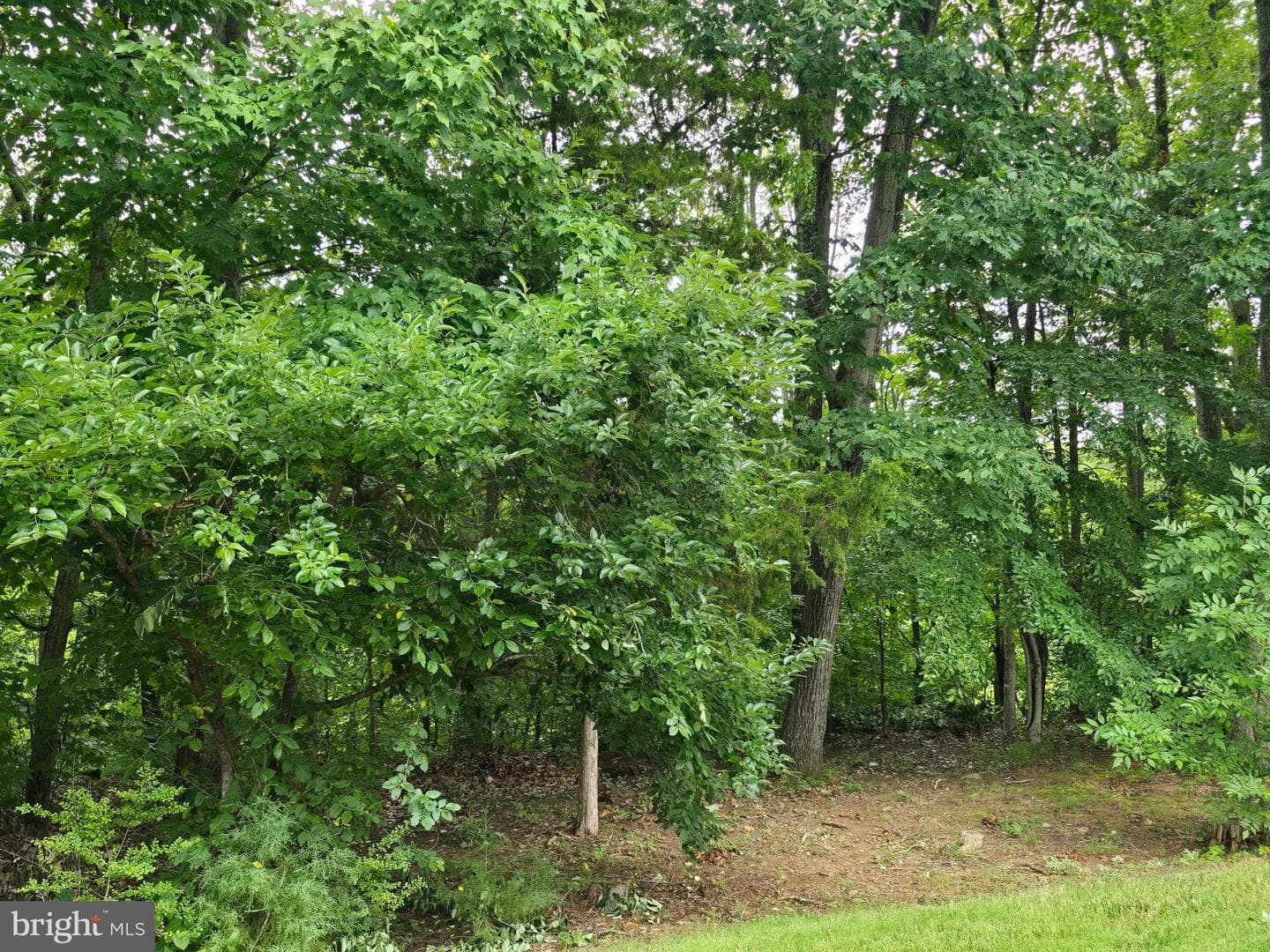 6245 Hawser Drive photo 83