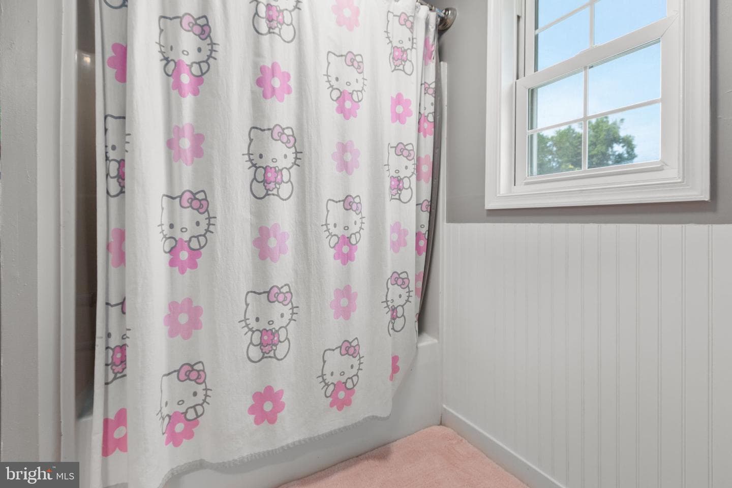 10429 Hutchison Lane photo 25