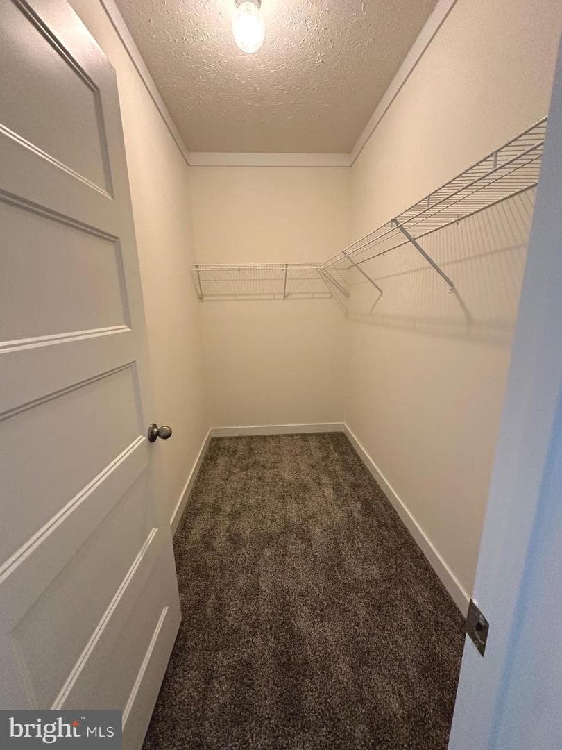 104 Henson Avenue photo 28