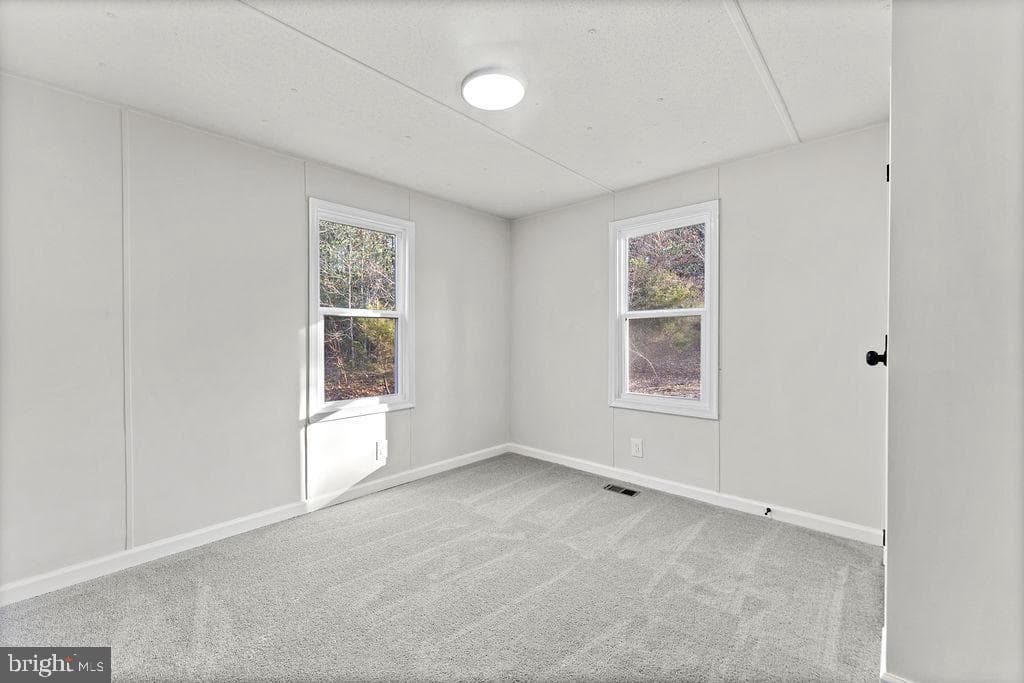 71 White Pine Lane photo 22