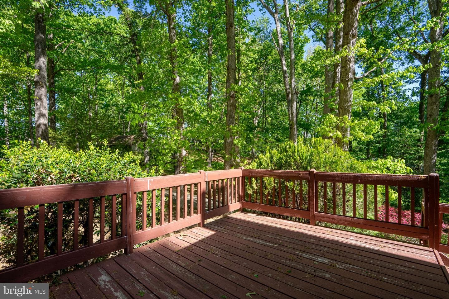 54 Tara Cir photo 78