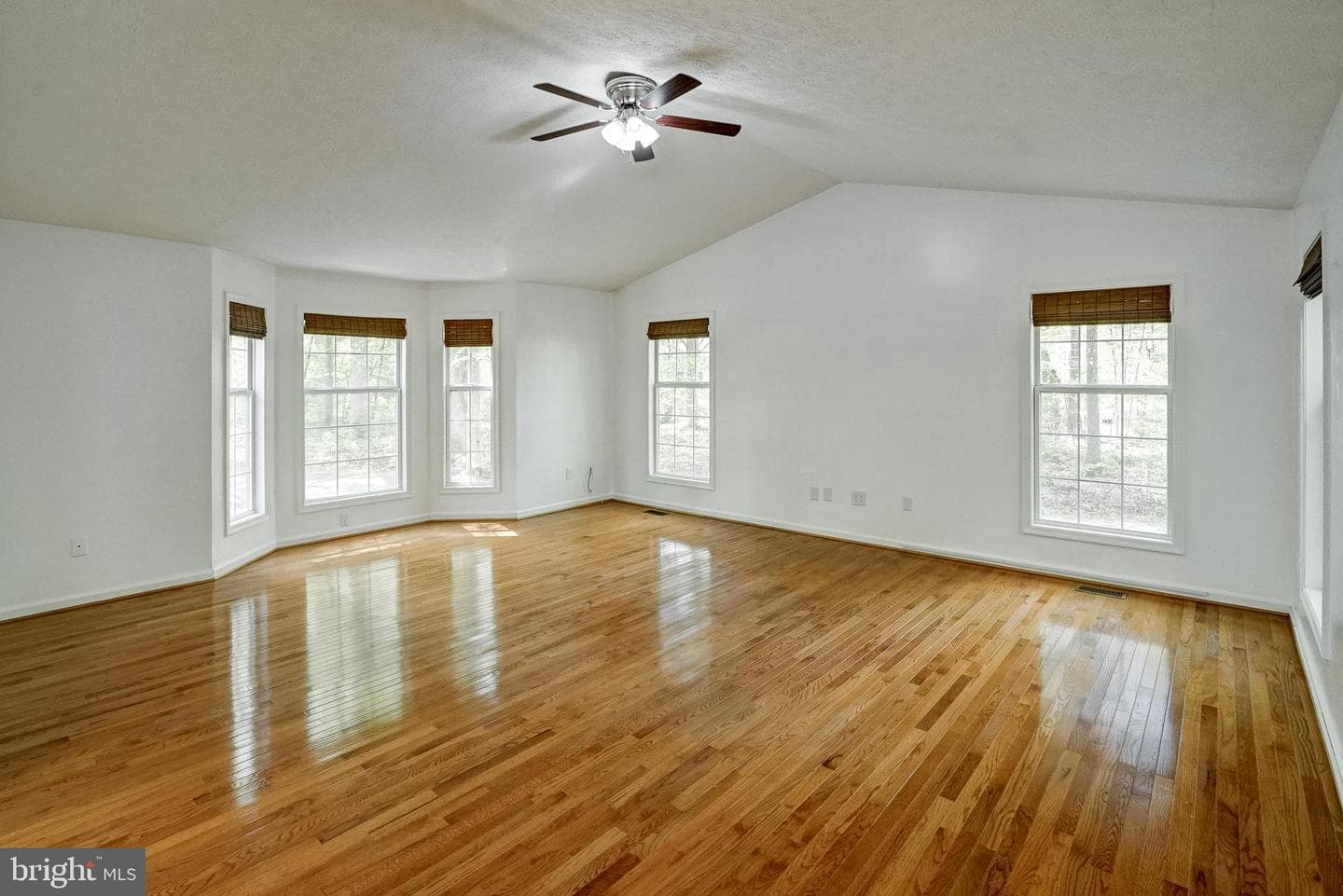 130 Oakleigh Lane photo 11
