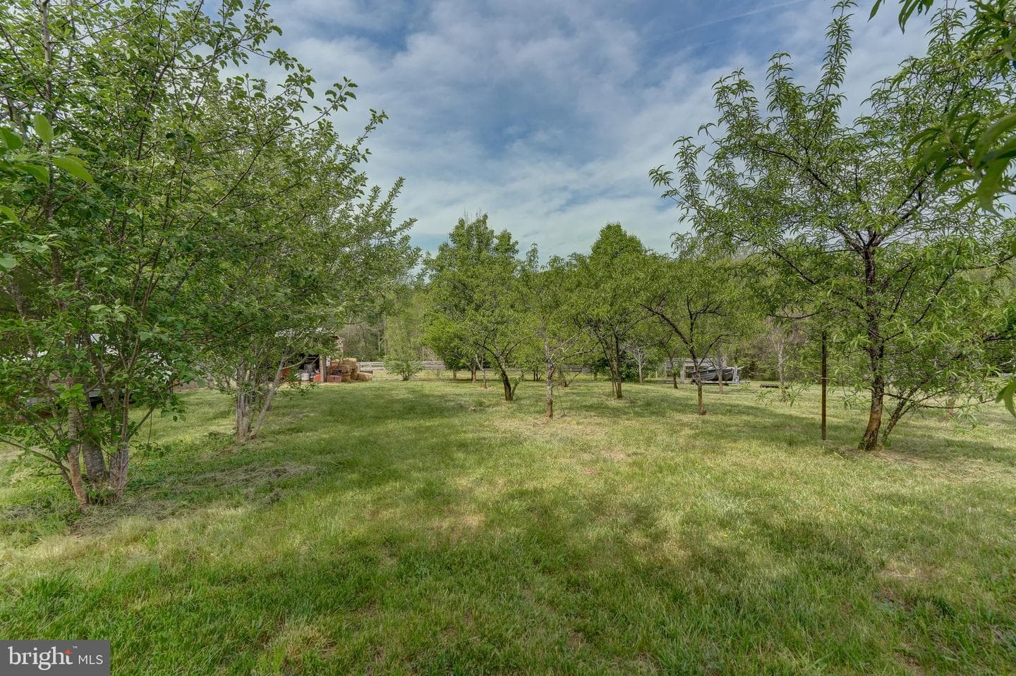 516 Apple Grove Road photo 83