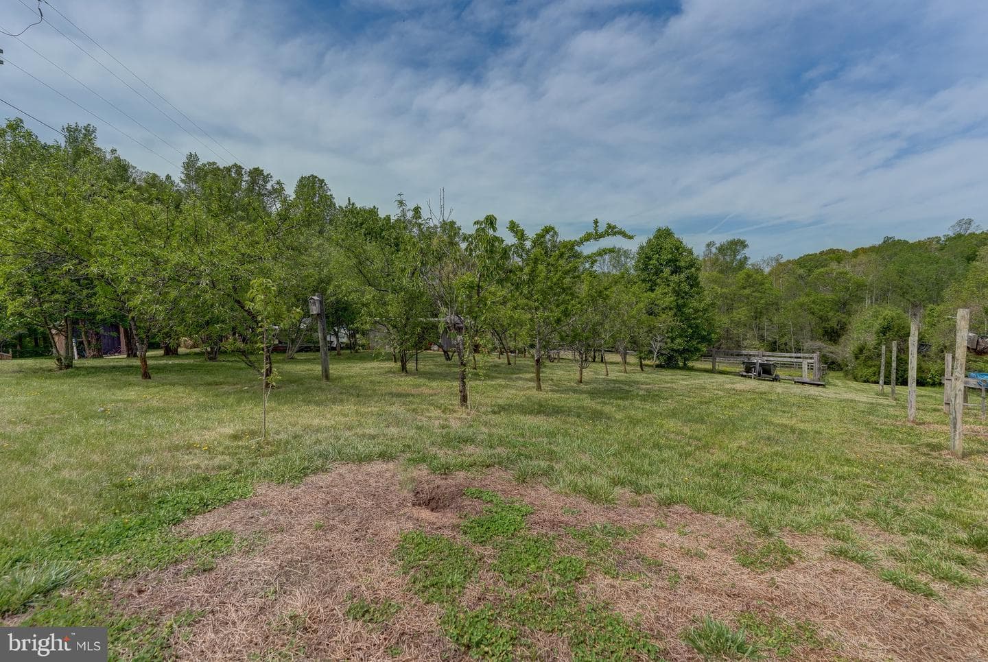 516 Apple Grove Road photo 84