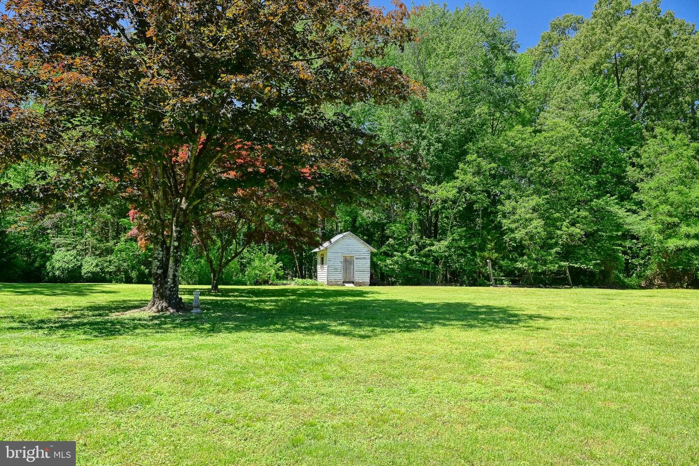 655 Bumpass Road photo 85