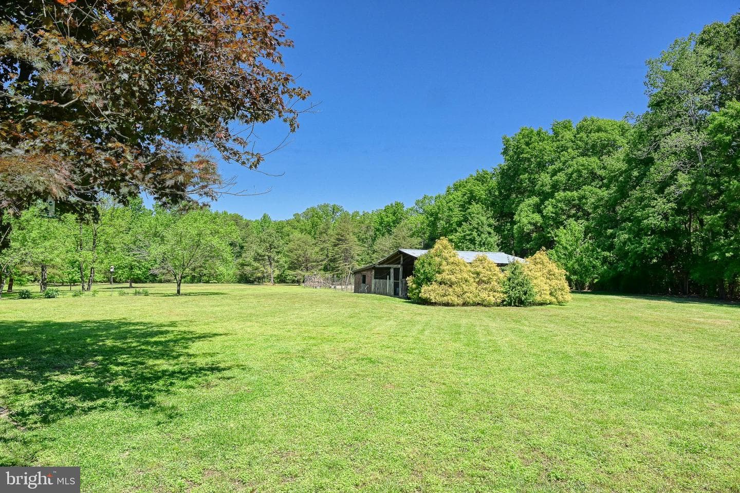 655 Bumpass Road photo 92