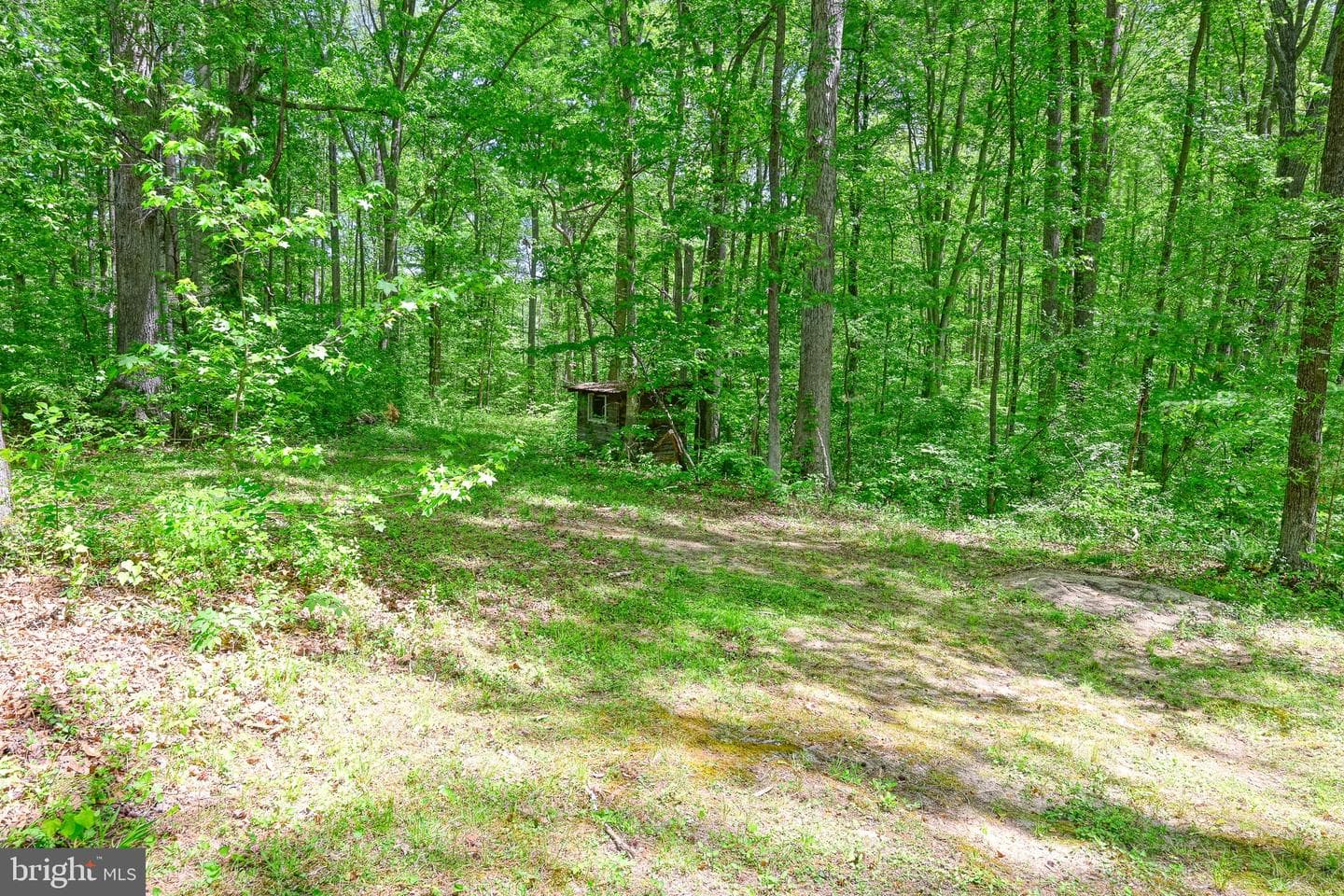 14584 Cross County Road photo 48