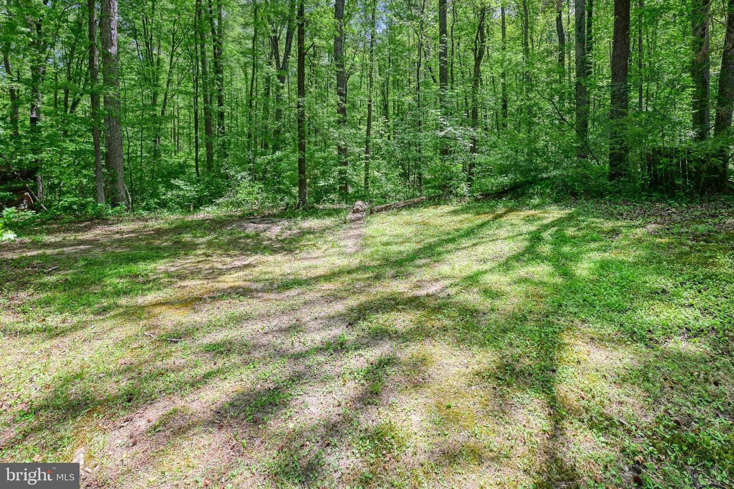 14584 Cross County Road photo 50
