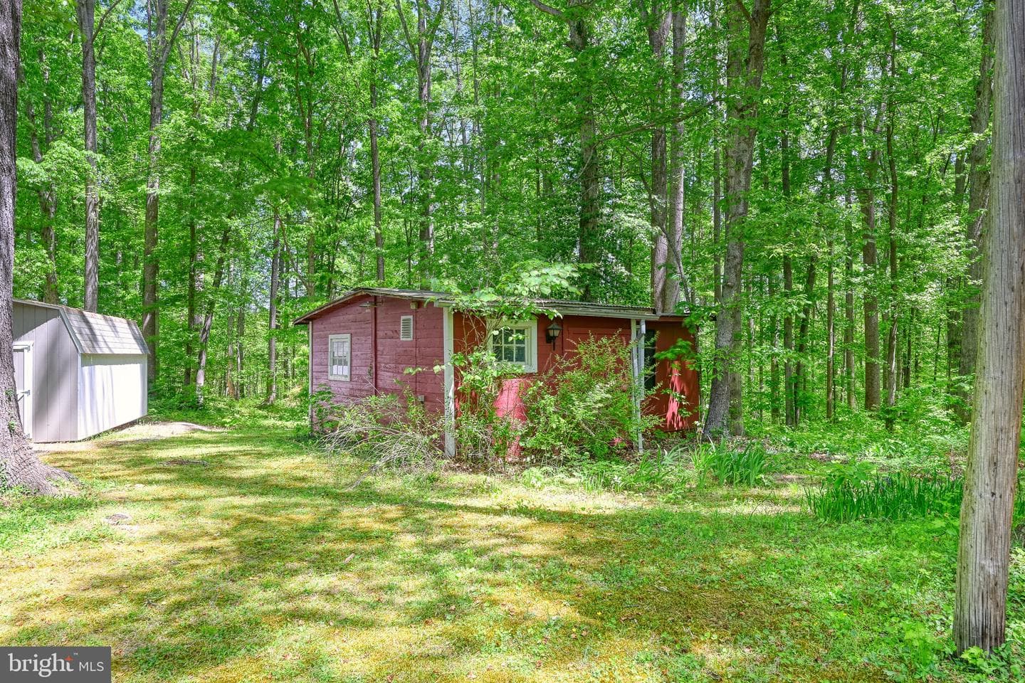 14584 Cross County Road photo 7