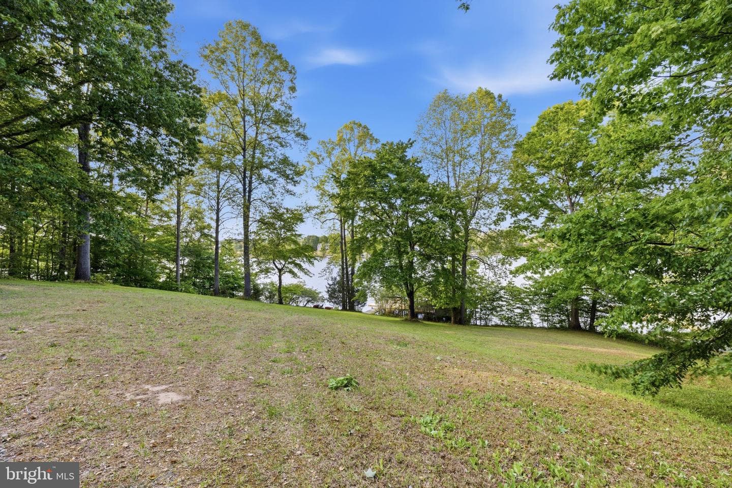 303 Pine Drive photo 6