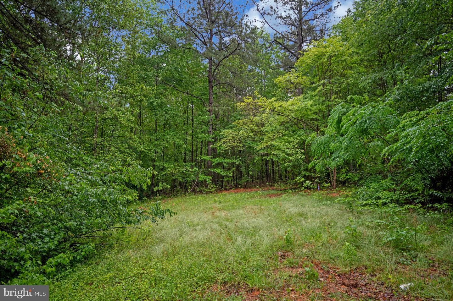 1438 Eastham Road photo 38