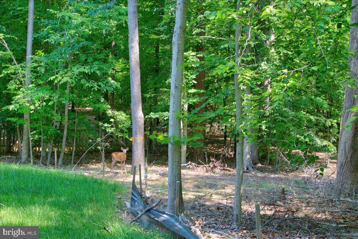 925 Moody Town Road photo 75