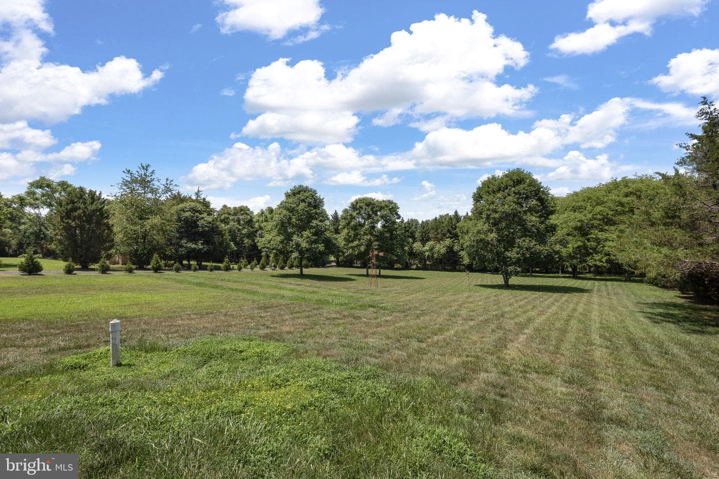 249 Derby Lane photo 49