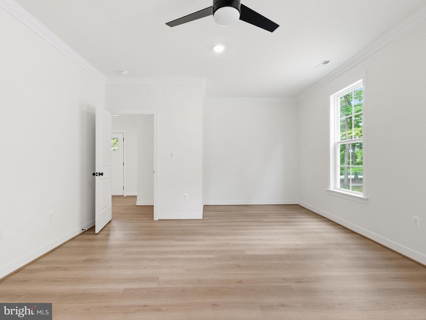 184 Anna Coves Court photo 19