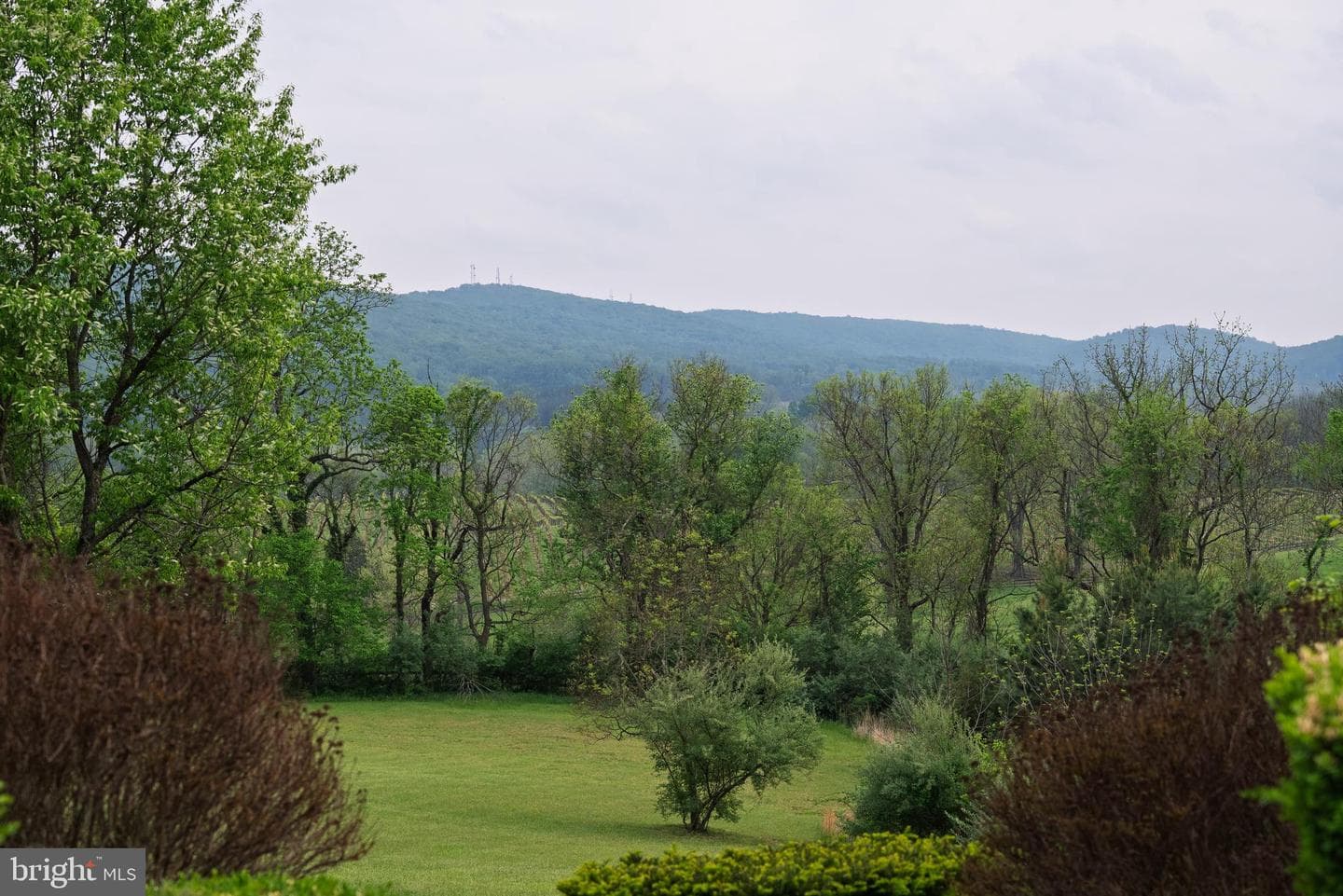 38793 Chelten Lane photo 41