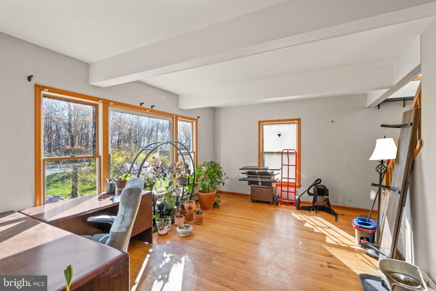 38164 Stevens Road photo 19