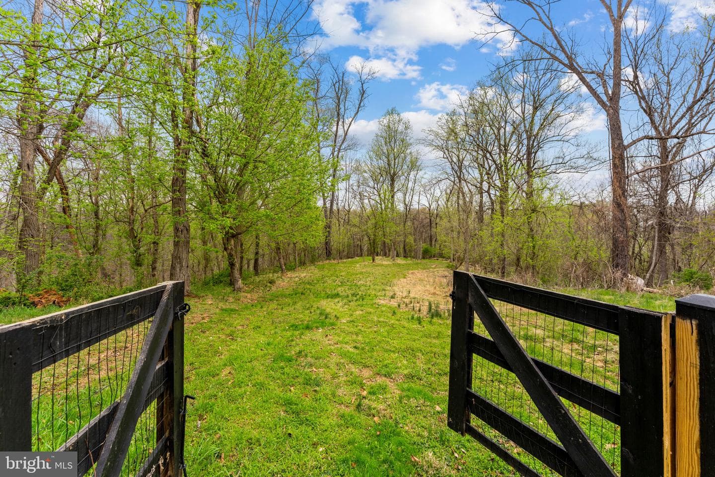 14039 Amys Meadow Court photo 104