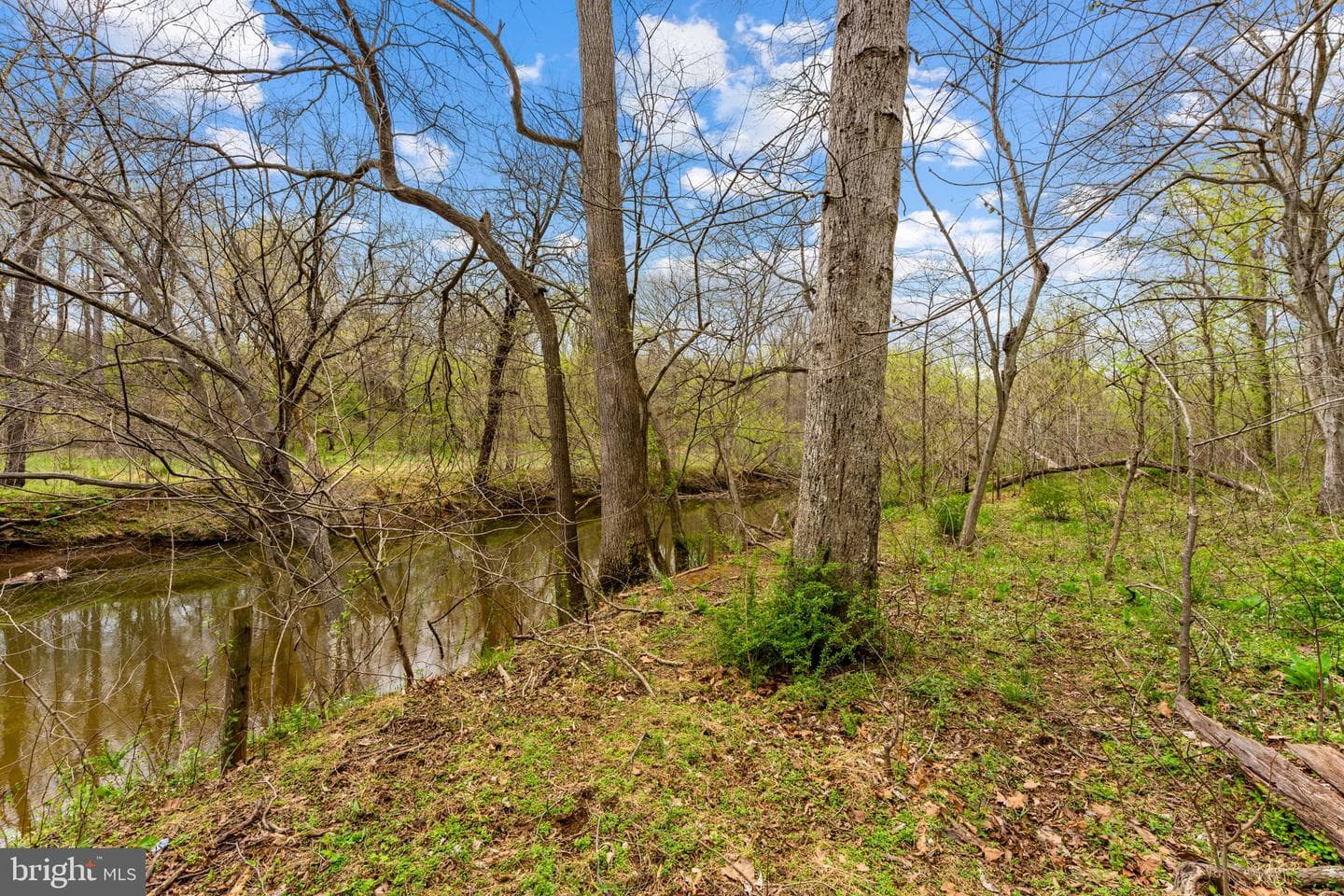 14039 Amys Meadow Court photo 107
