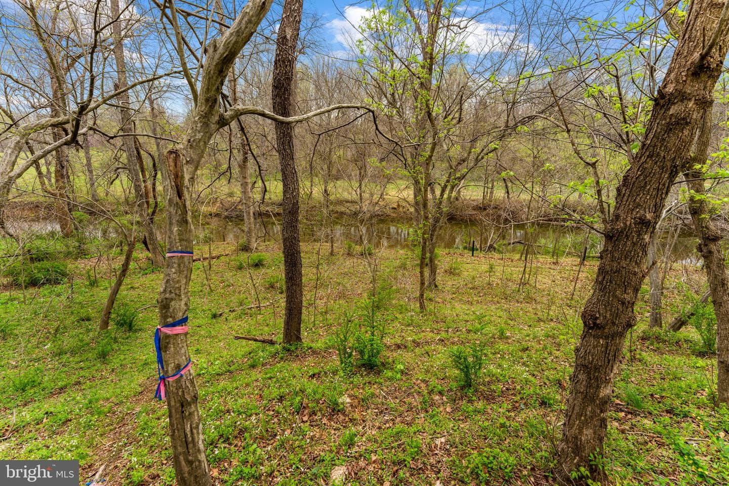 14039 Amys Meadow Court photo 108