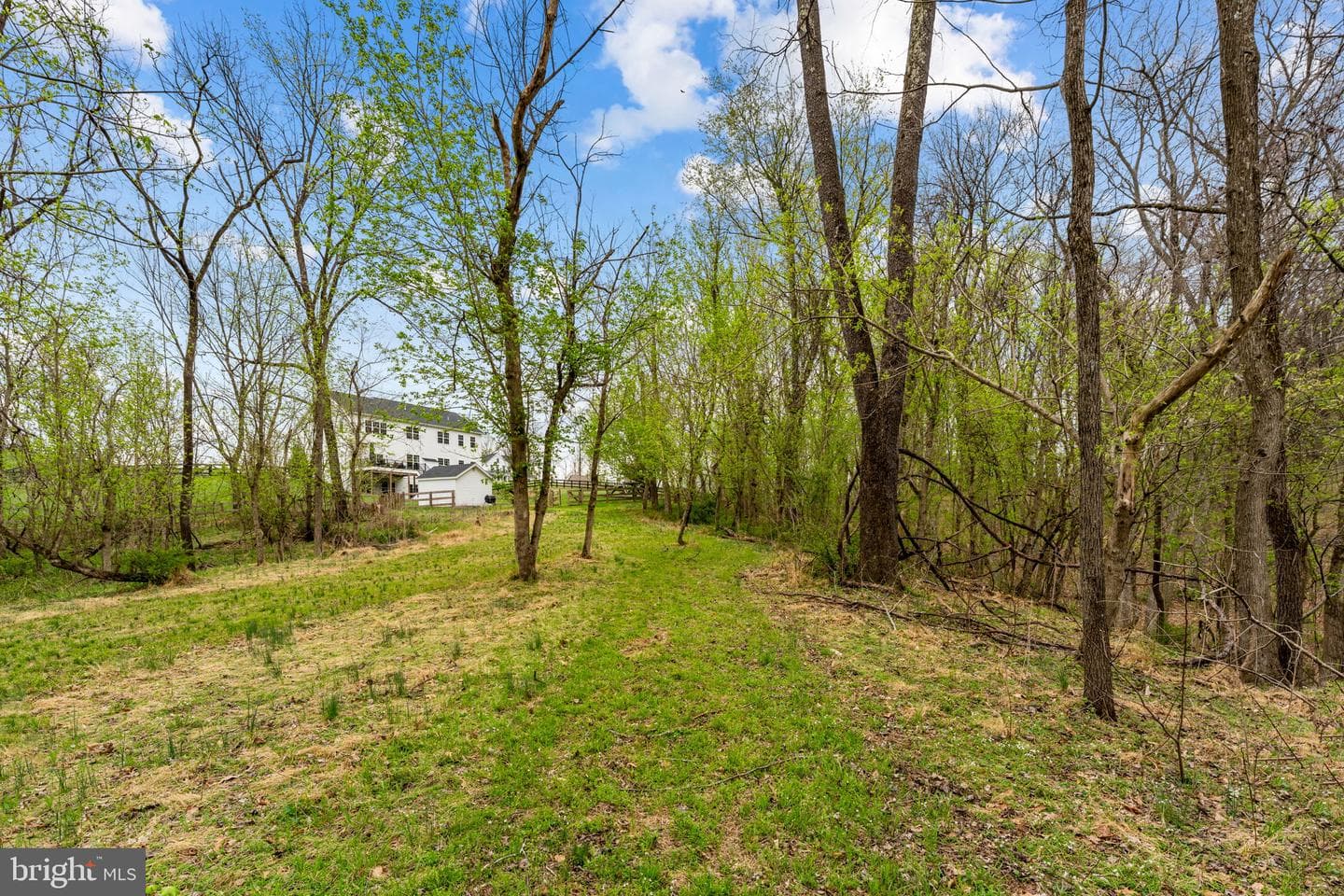 14039 Amys Meadow Court photo 110