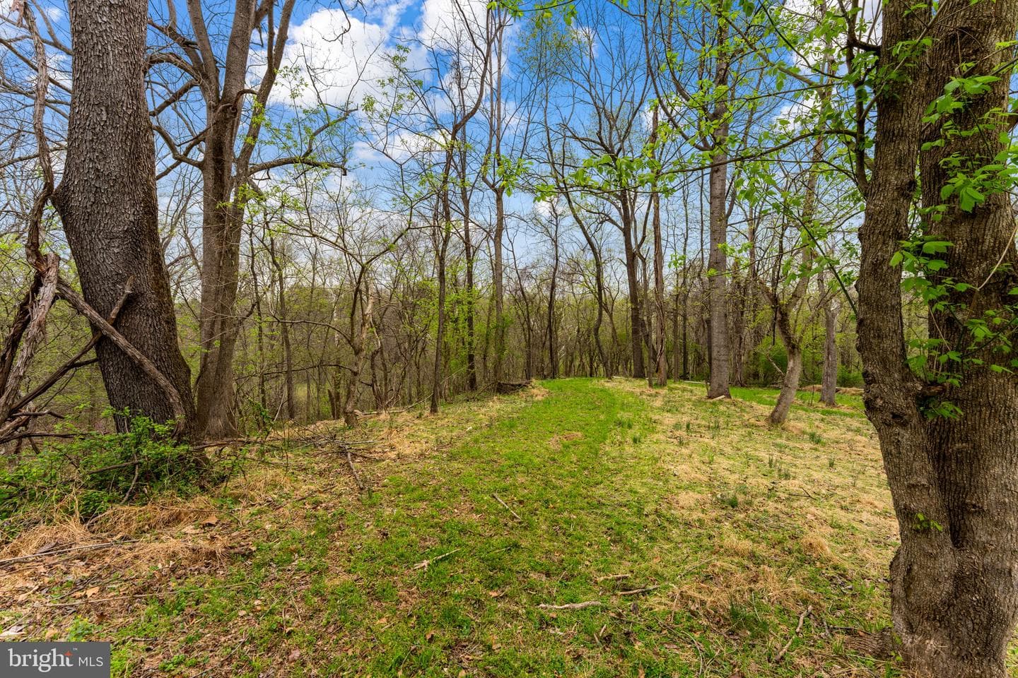 14039 Amys Meadow Court photo 111