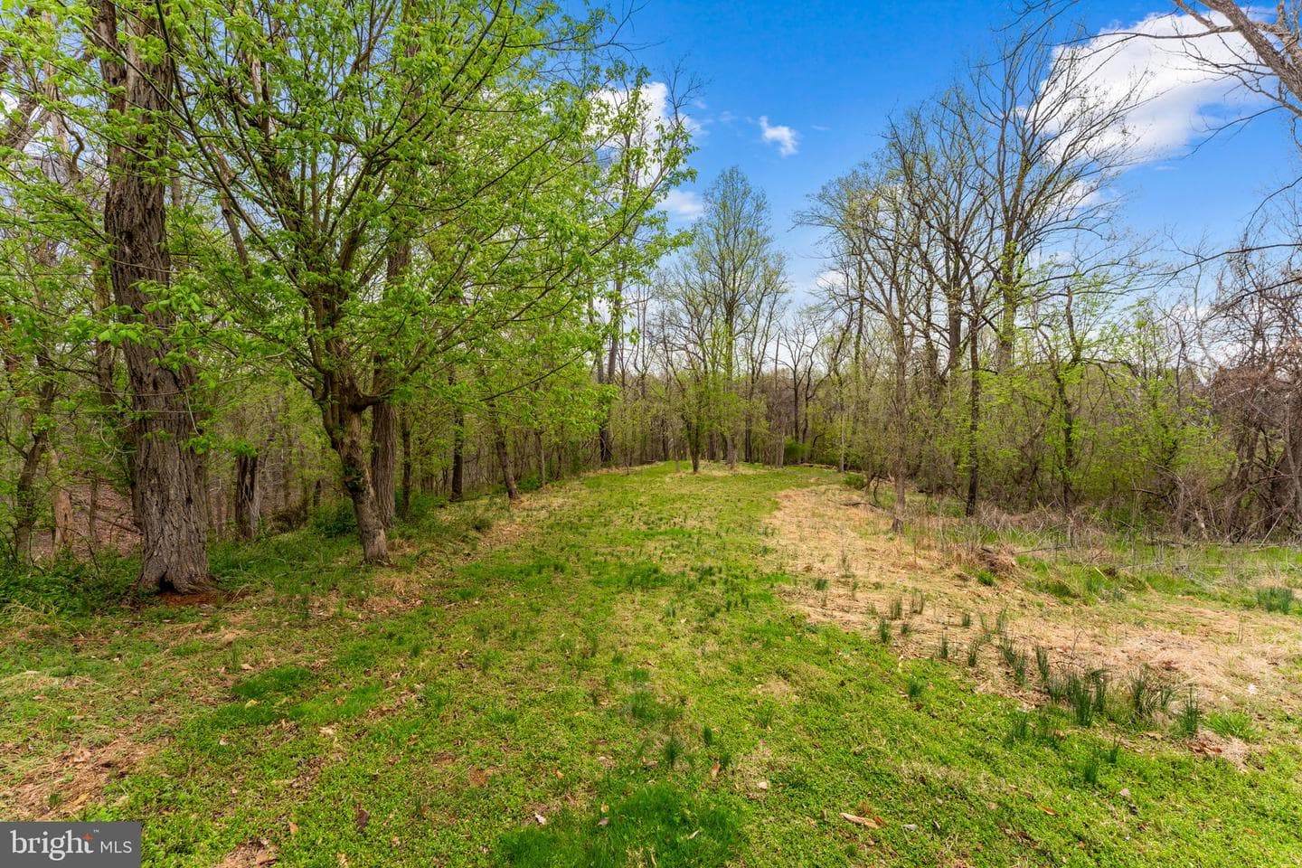 14039 Amys Meadow Court photo 112