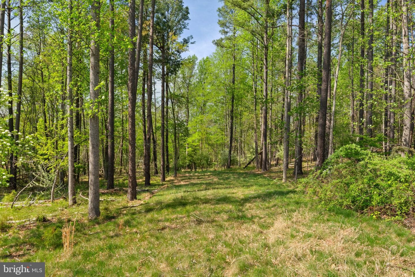 41412 Gentle Wind Place photo 70