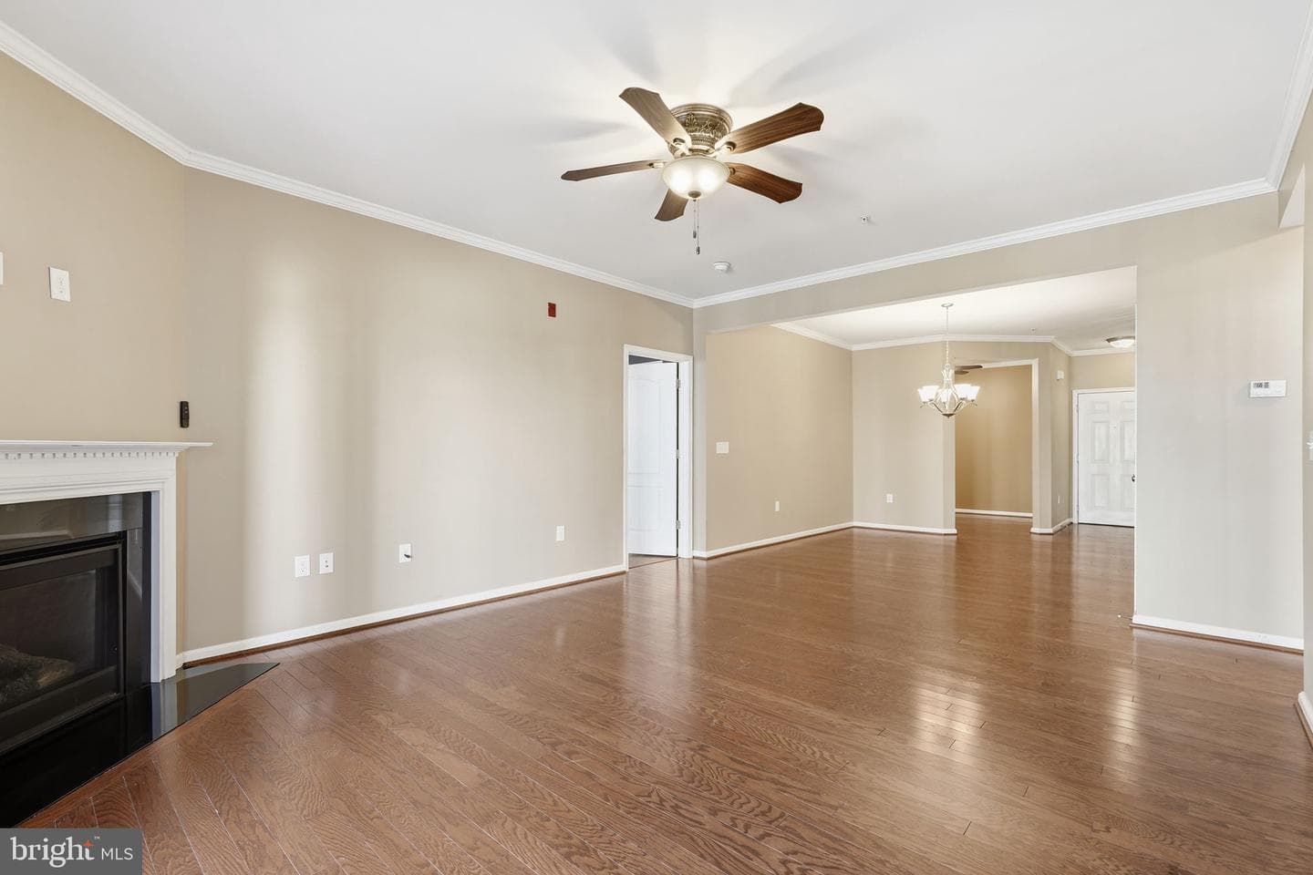 24637 Woolly Mammoth Terrace #205 photo 11