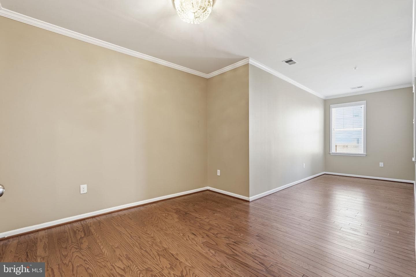 24637 Woolly Mammoth Terrace #205 photo 16