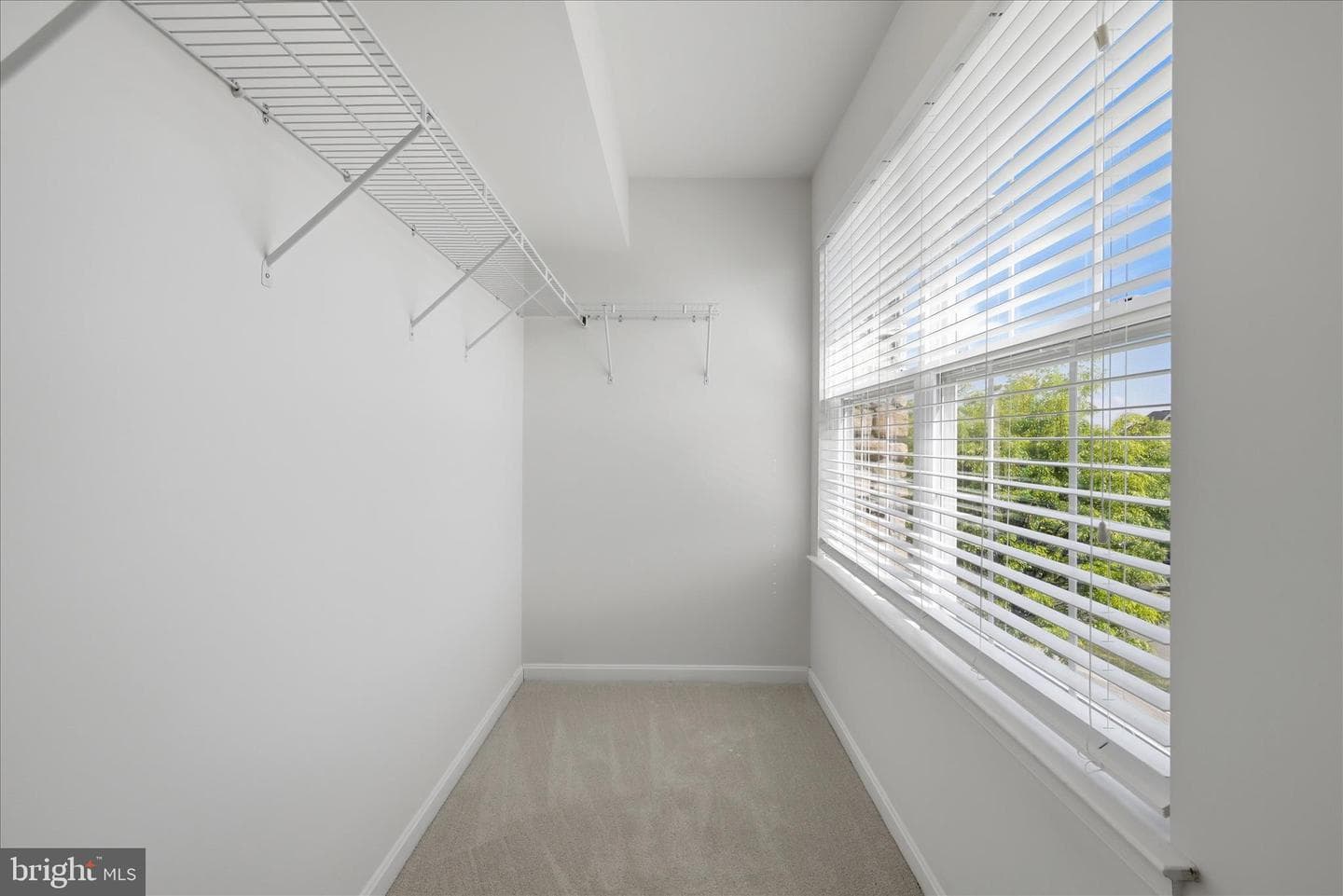 35514 Saint James Drive photo 32