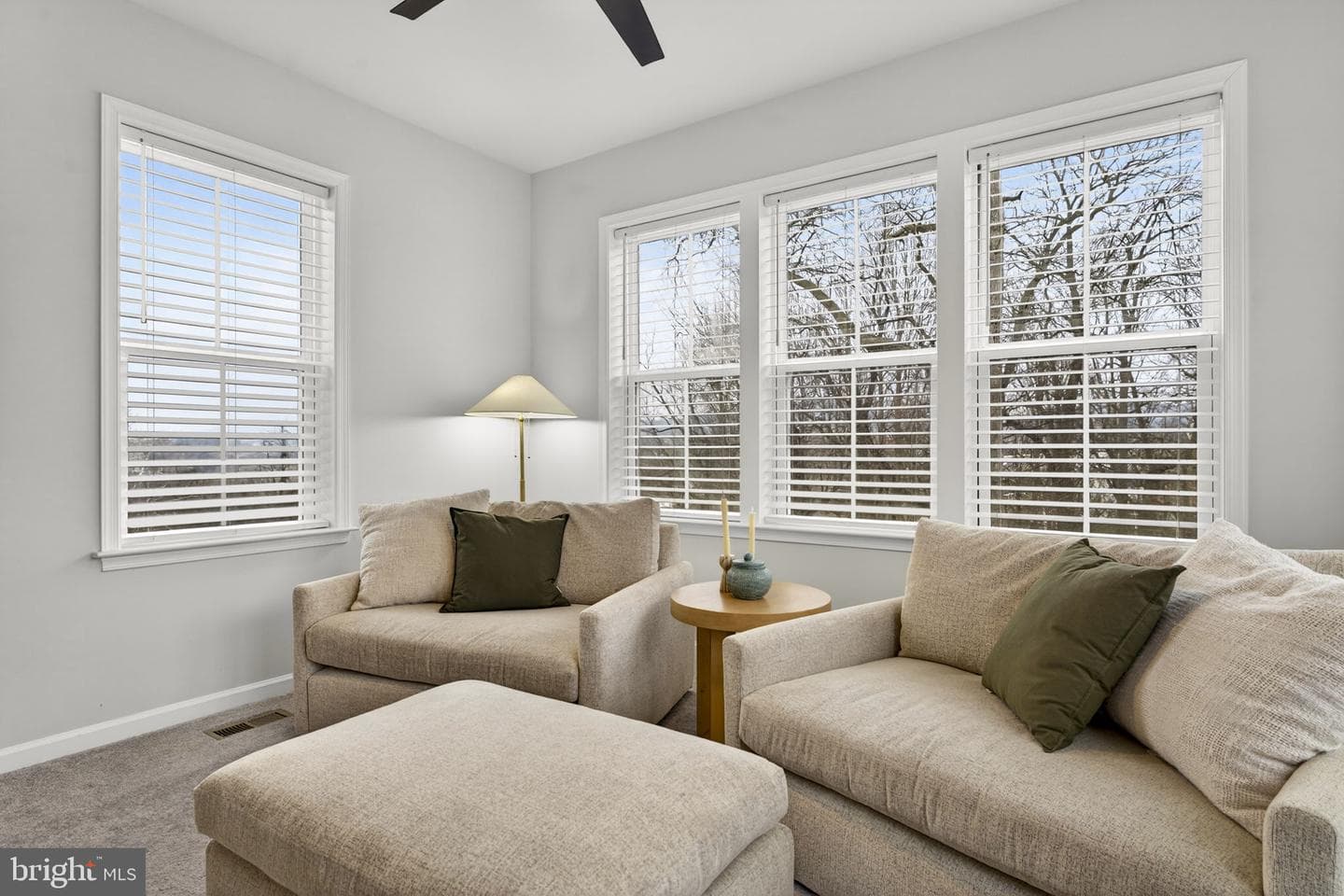 14072 Amys Meadow Court photo 25