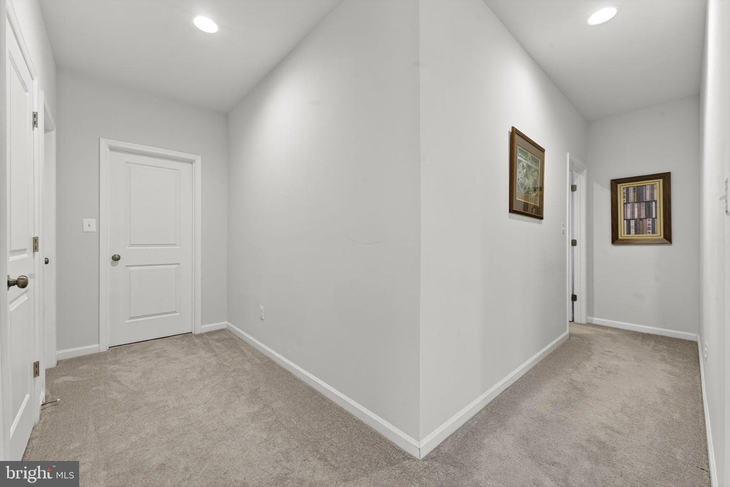 14072 Amys Meadow Court photo 43