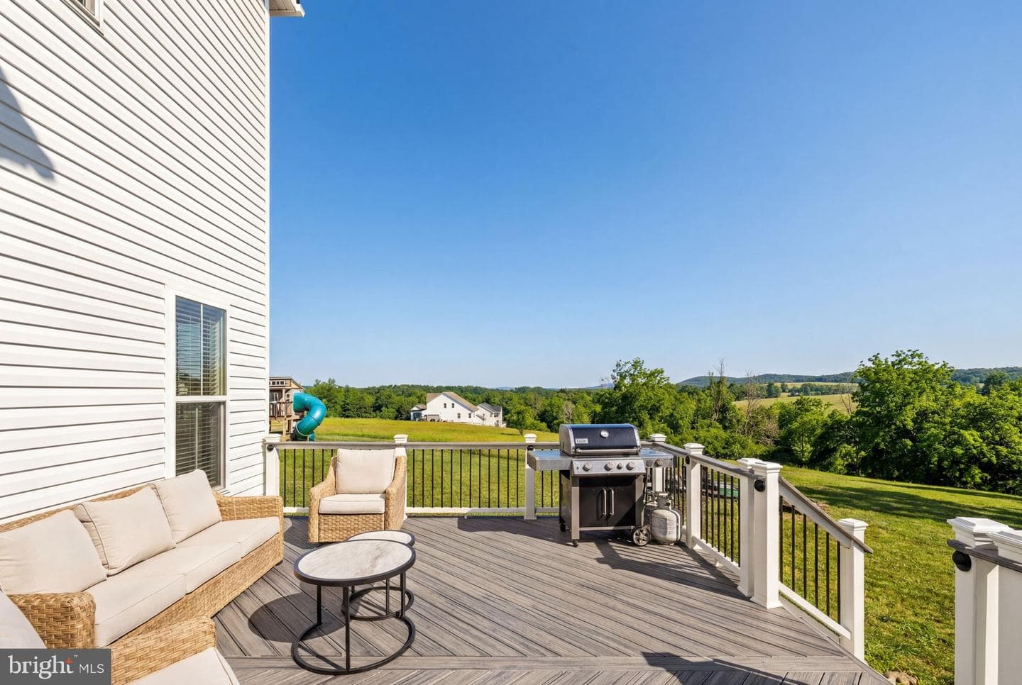 14072 Amys Meadow Court photo 49