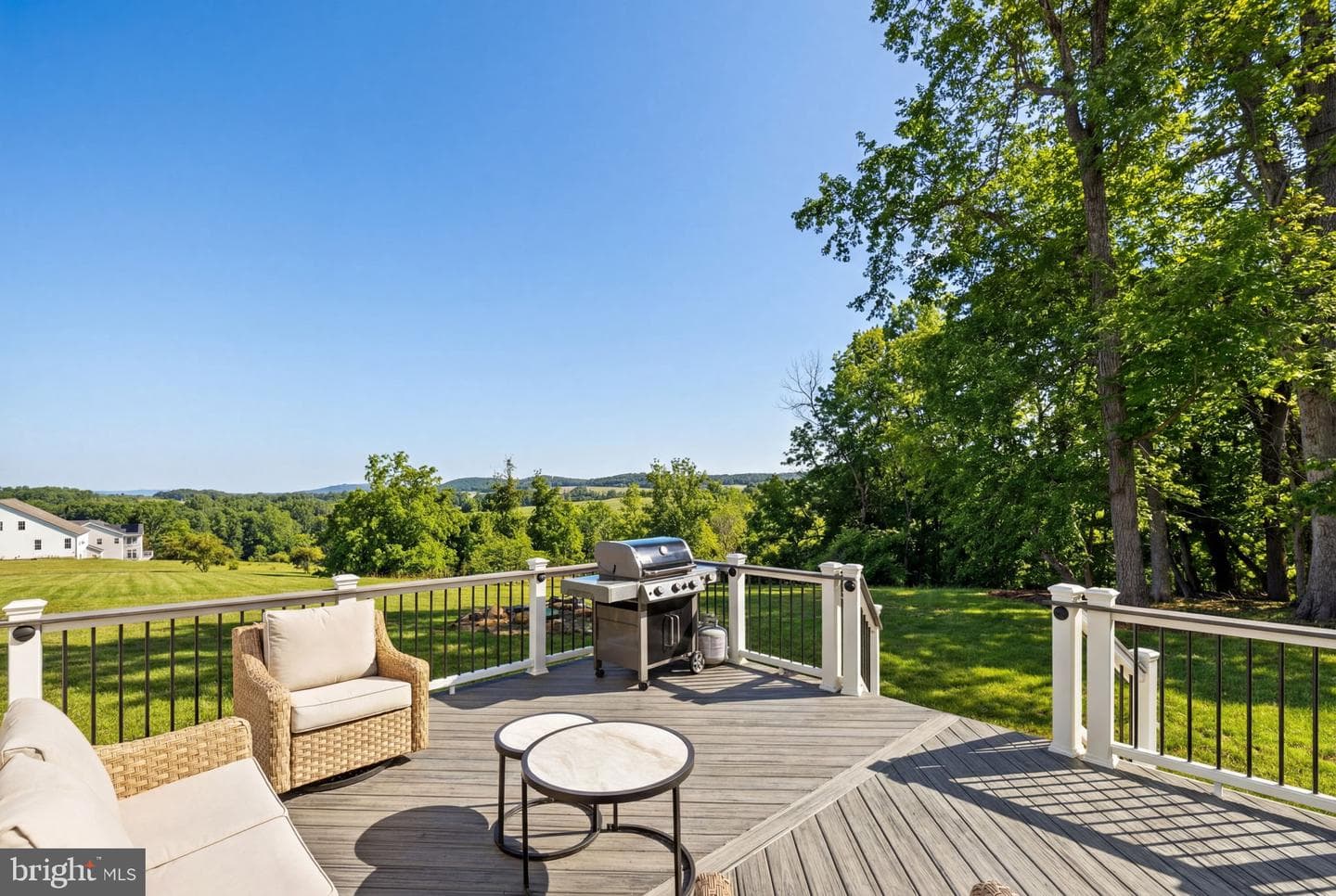 14072 Amys Meadow Court photo 50