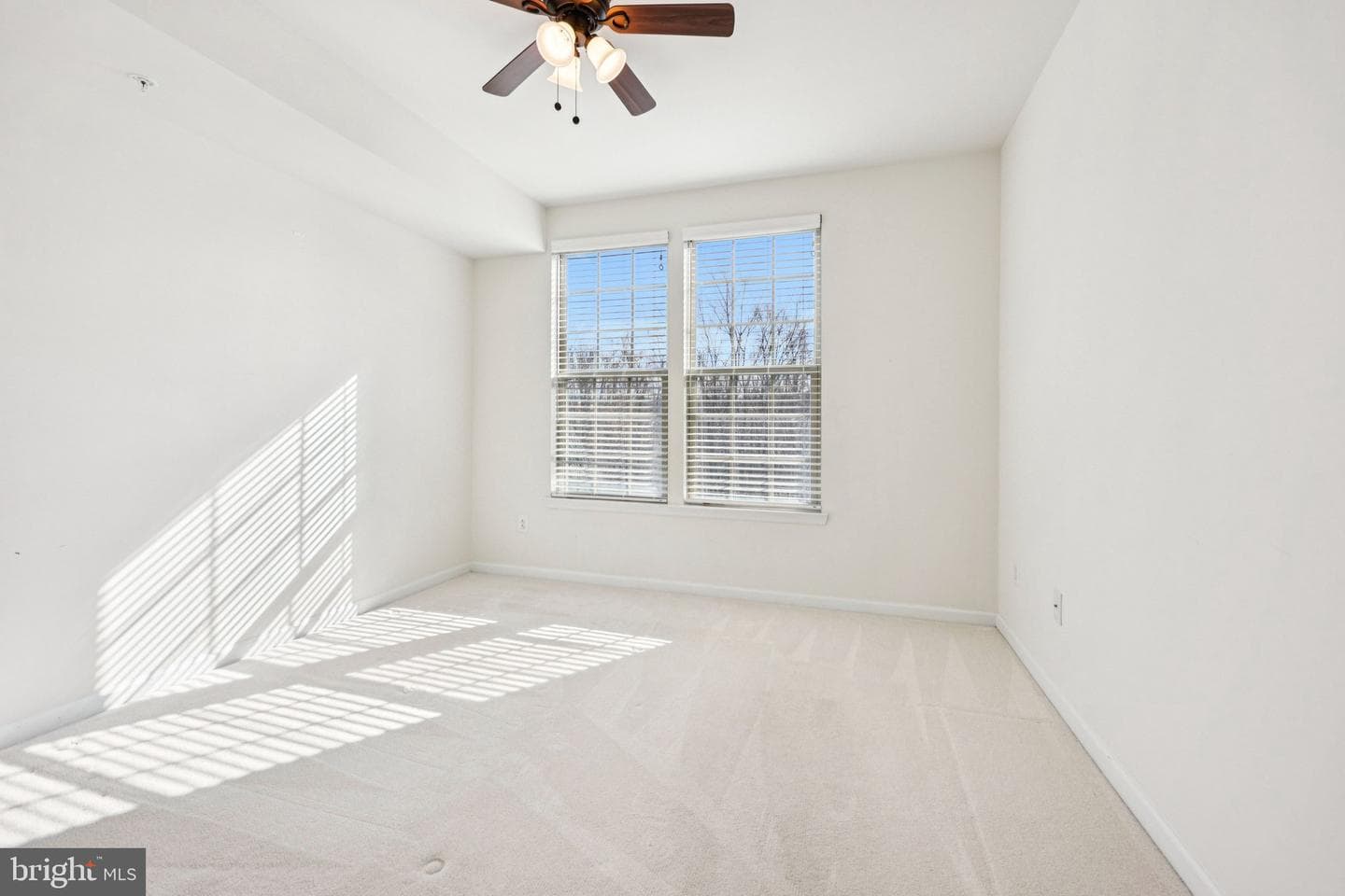 26052 Braided Mane Terrace photo 15