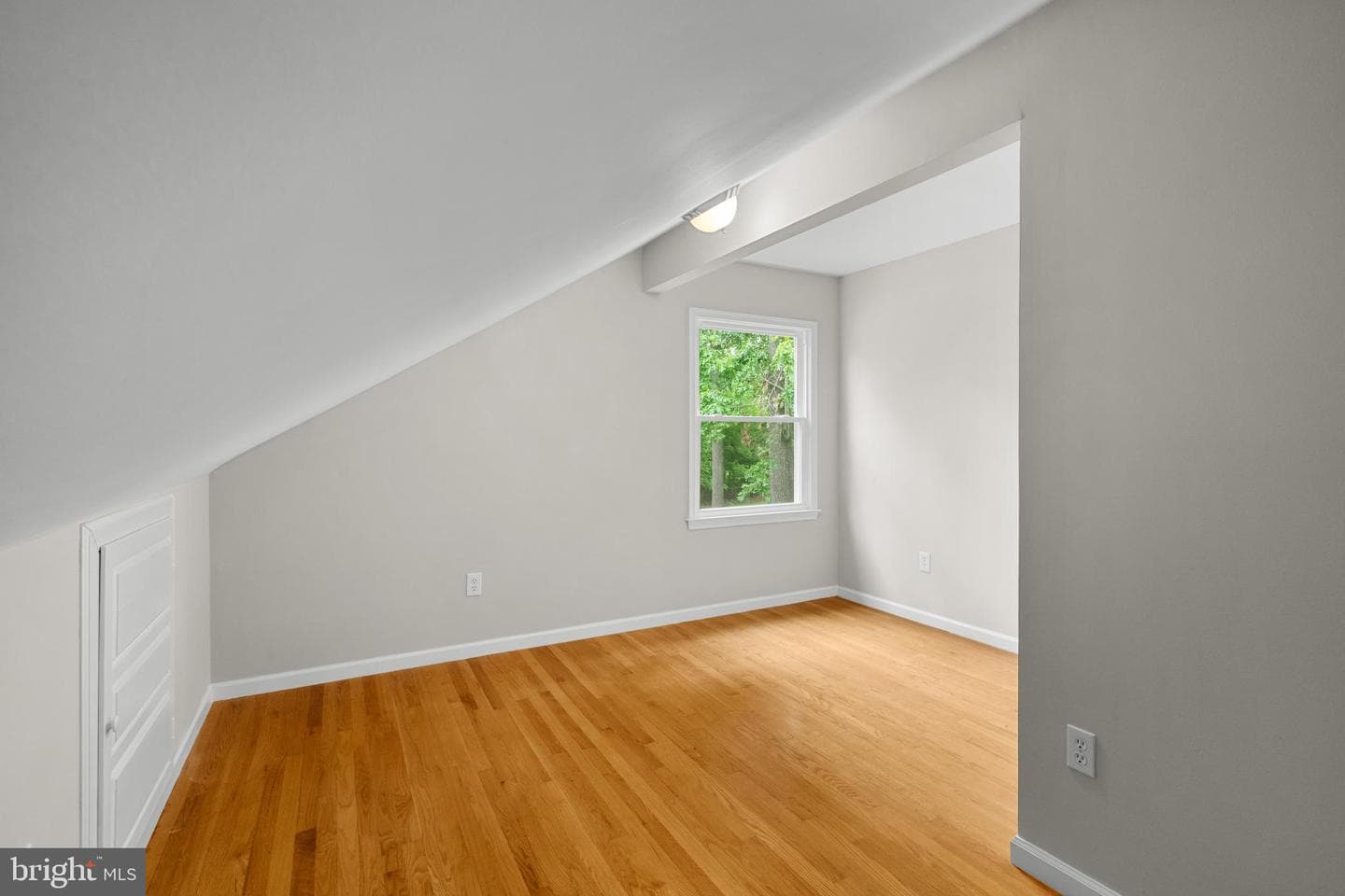 43118 Evans Pond Road photo 24