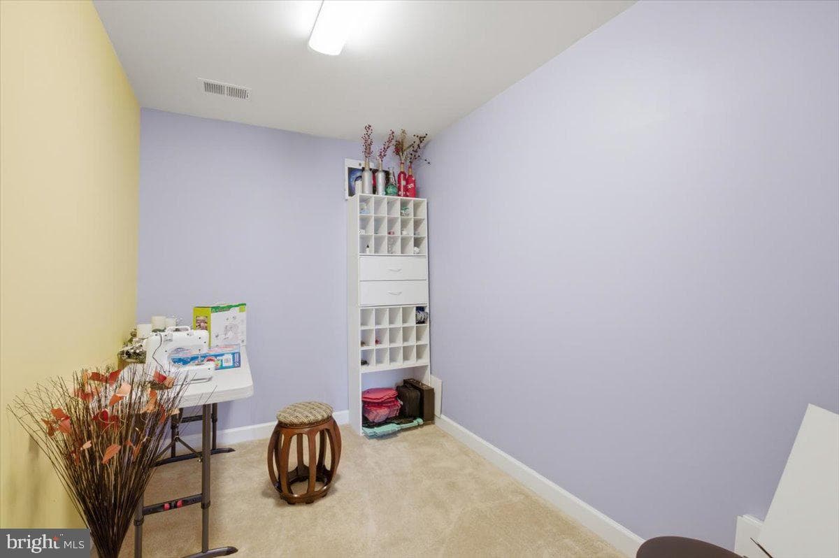 11950 Stonehouse View Court photo 58