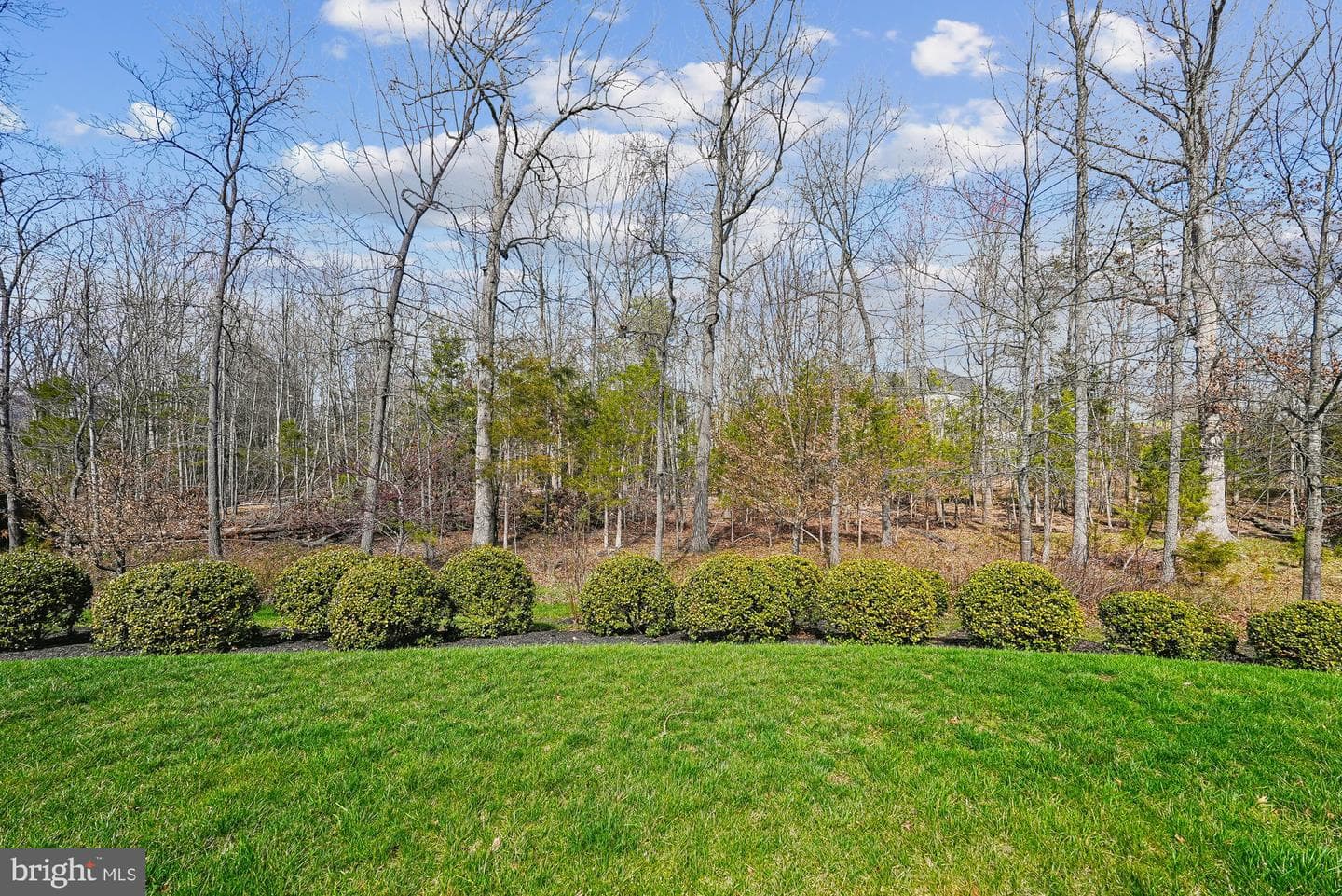 24878 Helms Terrace photo 11