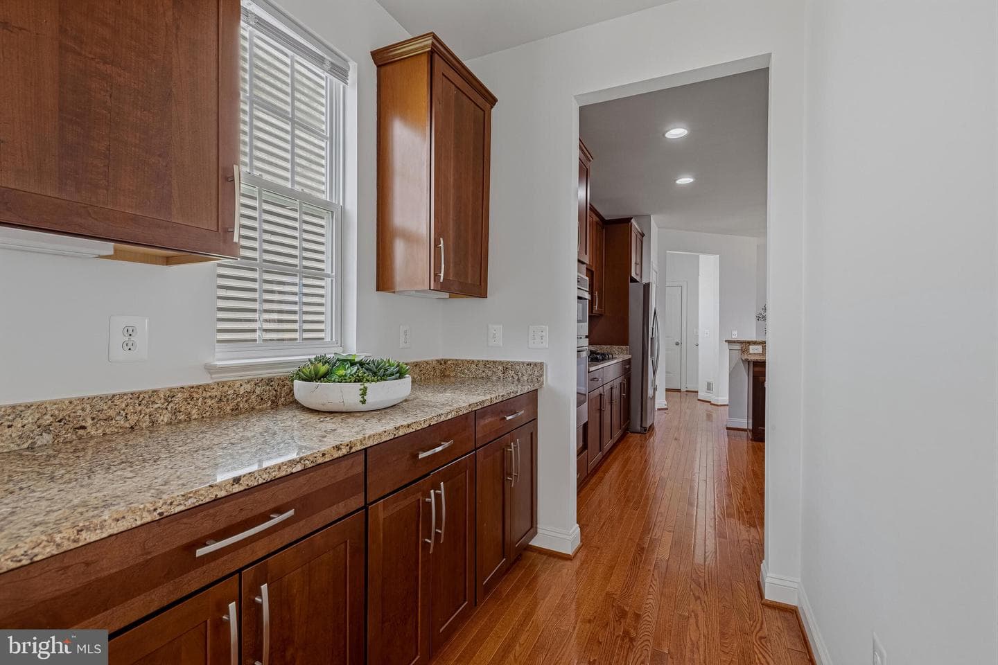 43172 Nikos Street photo 9