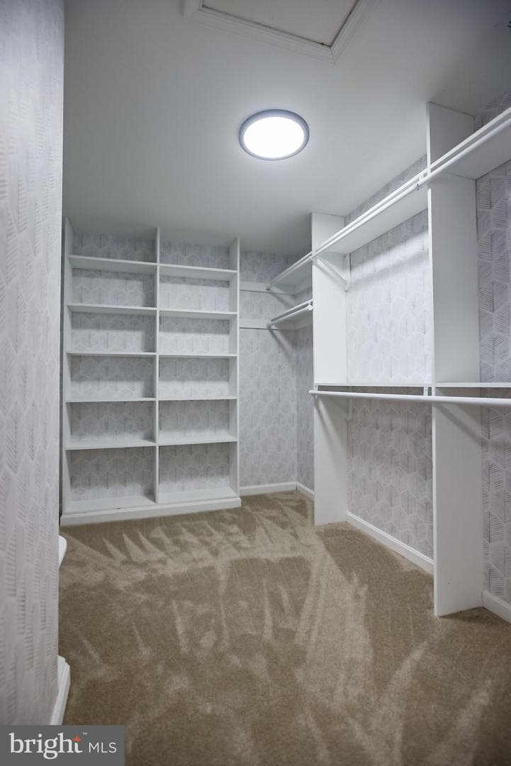 20818 Blossom Landing Way photo 34