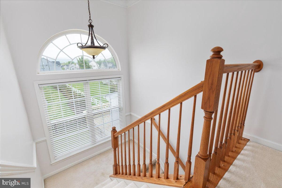 33 Potterfield Drive photo 20