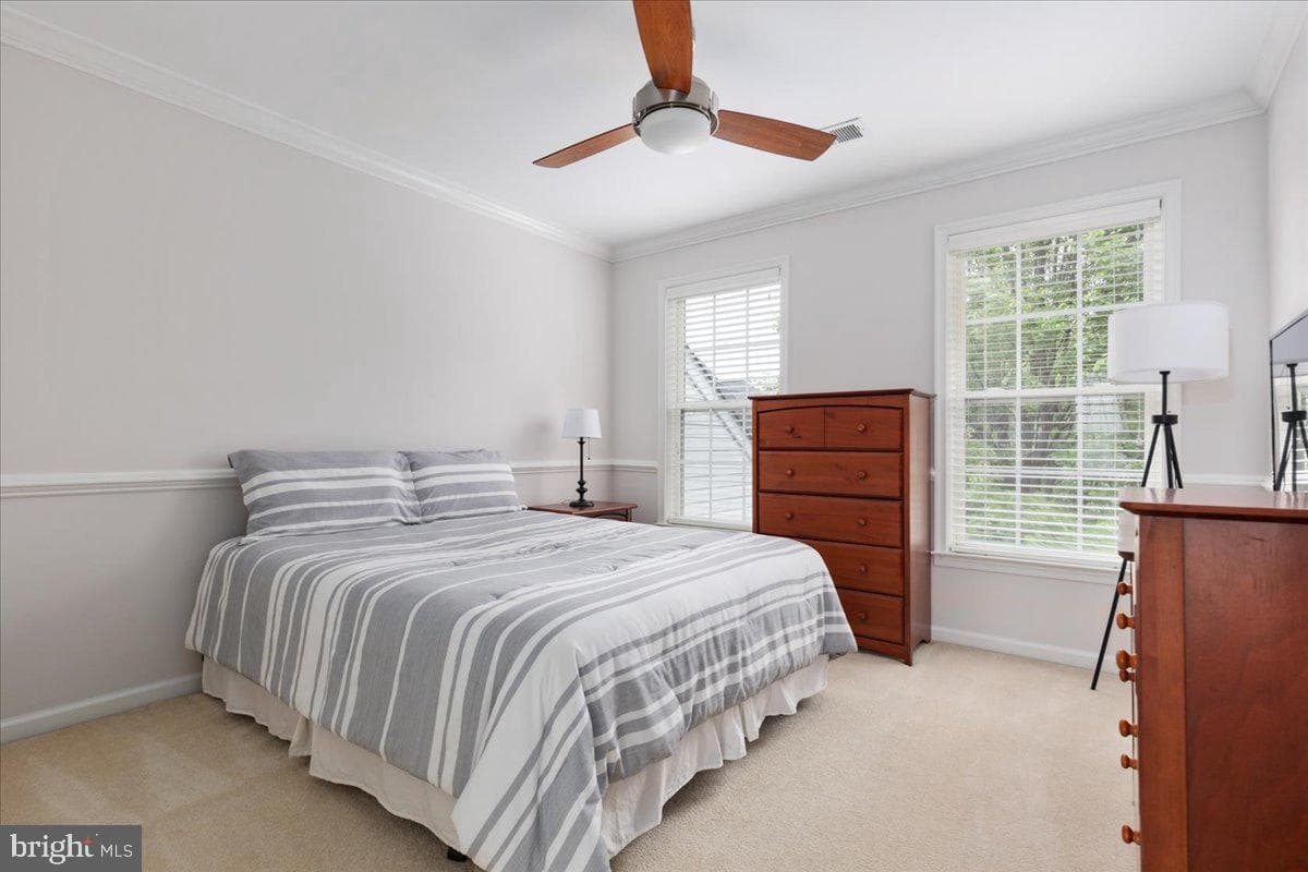 33 Potterfield Drive photo 21