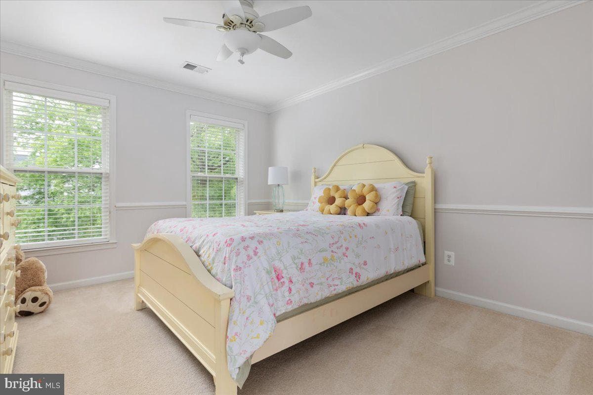 33 Potterfield Drive photo 22