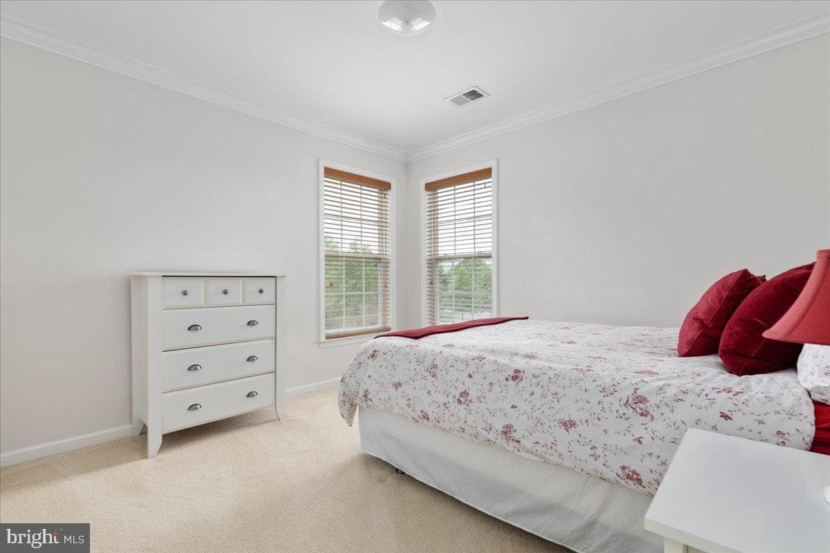 33 Potterfield Drive photo 23