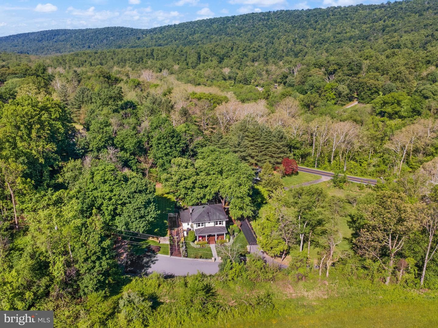 37151 Branchriver photo 58