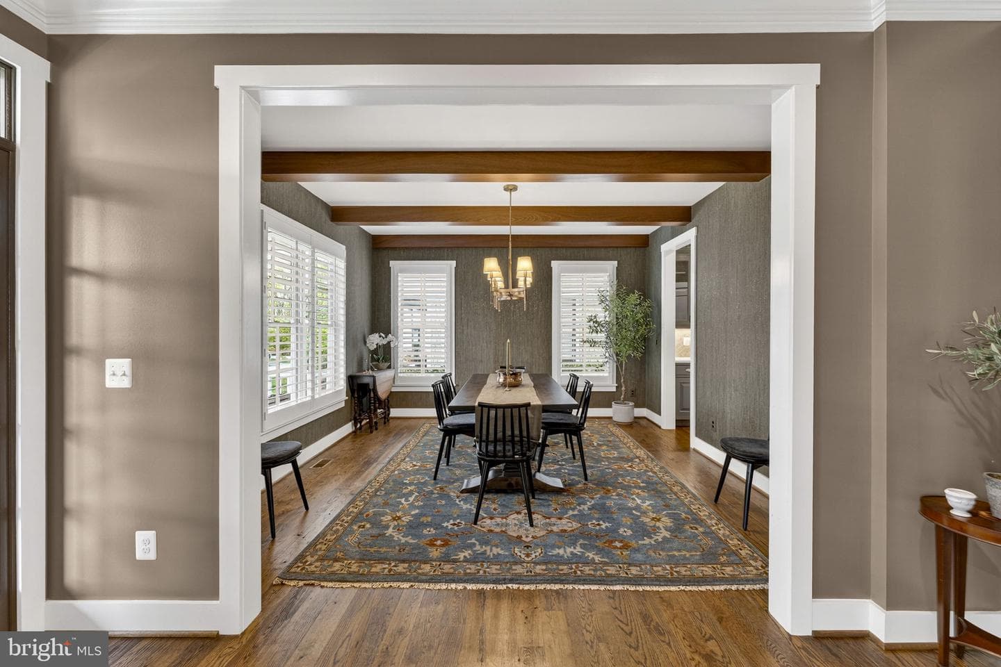 105 Reed Street photo 8