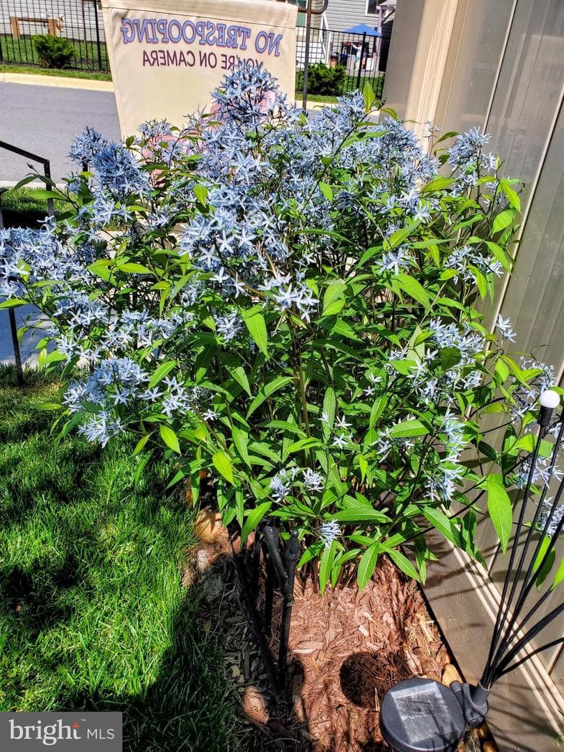 15 S Locust Street photo 62