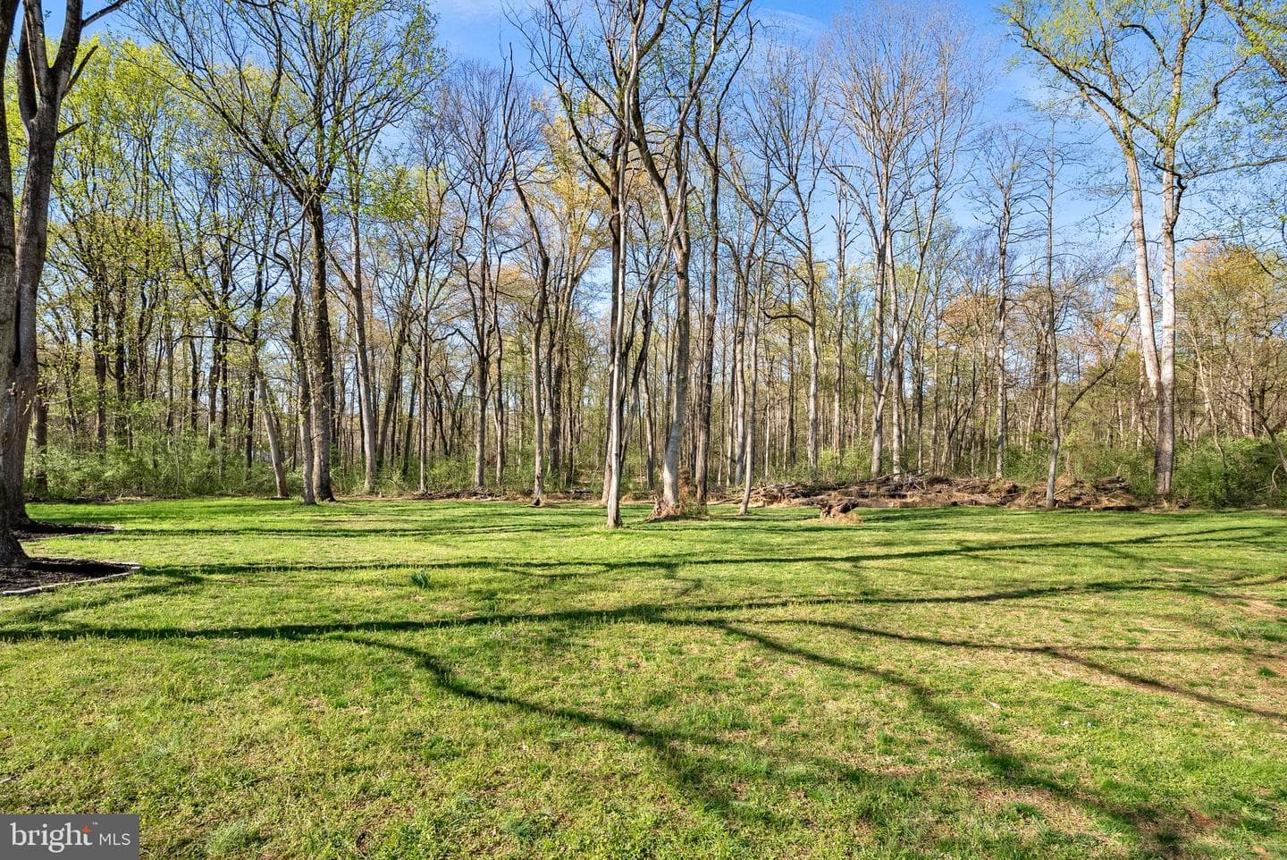 43464 Evans Pond Road photo 64